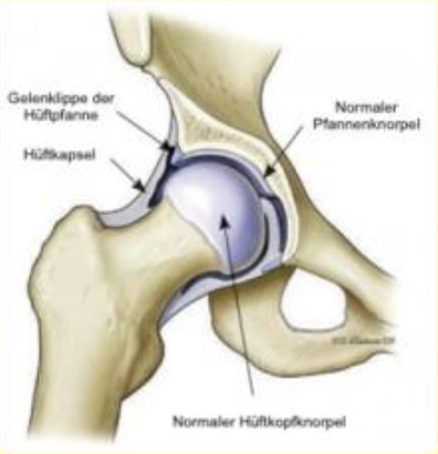 Biometrischer Faktor